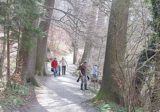 Ärgerlich: Obwohl es überall Abfallkörbe hat, findet die Putzequipe überall viel Abfall im Gebüsch.