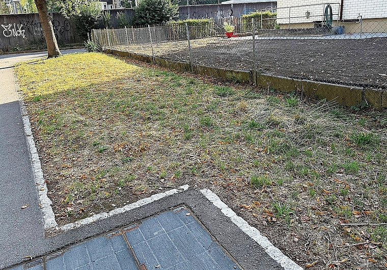 Die brachliegende Rasenfläche am Heroweg: Hier soll ein weiterer Pocket-Park entstehen mit einem zweiten Baum, Heckenpflanzen, Totholzinseln und Ruderalflächen. Wer hilft mit?  Foto: zvg