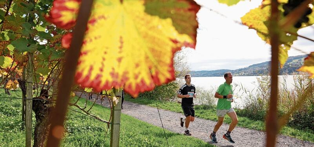 Ideale Rahmenbedingungen für ein eindrückliches Lauferlebnis im Seetaler Herbst: Zwei Teilnehmer am 48. Hallwilerseelauf zwischen Rebbergen und See. Foto: Swissimage/Philipp Schmidli
