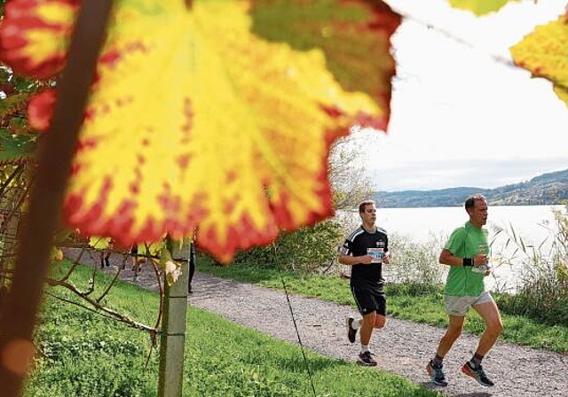 Ideale Rahmenbedingungen für ein eindrückliches Lauferlebnis im Seetaler Herbst: Zwei Teilnehmer am 48. Hallwilerseelauf zwischen Rebbergen und See. Foto: Swissimage/Philipp Schmidli
