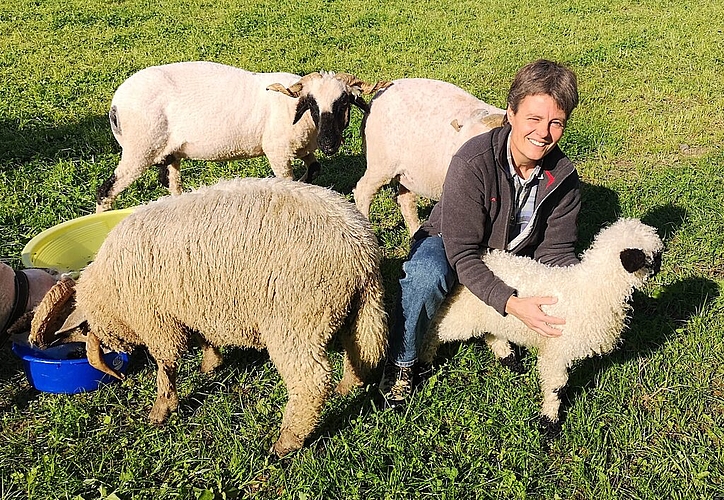 <em>Auf dem künftigen Pachtland:</em> Die ehemalige Leiterin des Berufsbildungszentrums Niederlenz, Brigitte Vogel, mit ihren Walliser Schwarznasenschafen auf dem Areal Altfeld. Fotos: Fritz Thut
