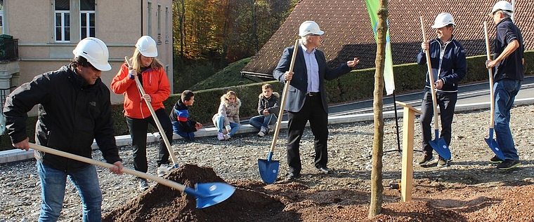 <em>Zeichen für die Umwelt:</em> Im Rahmen der Aktion «Klimaoase» pflanzten Gemeindevertreter in Meisterschwanden einen Feldahorn. Foto: Alexander Studer