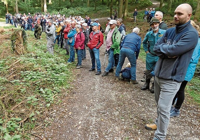 Zahlreiche Besucher am Seoner Waldumgang: Die Baumfällaktion wird mit grossem Interesse verfolgt. Foto: Pia Weber