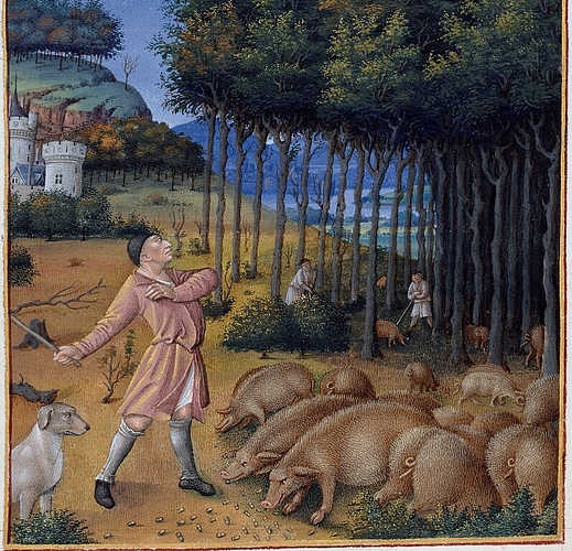 <em>Holzgewinnung und Schweinemast.</em> Szene aus dem Gebetsbuch des Duc de Berry. Foto: René-Gabriel Ojéda/RMN-GP
