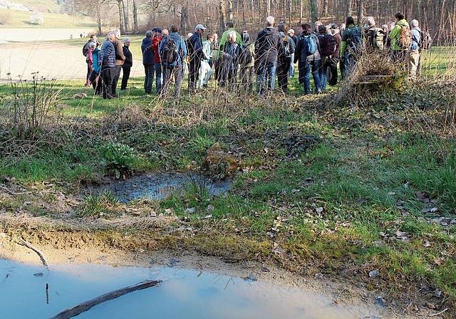 Vormittagsexkursion: Interessierte Delegierte von BirdLife Aargau besuchten realisierte Projekte für die Natur rund um Lenzburg. Foto: Alfred Gassmann