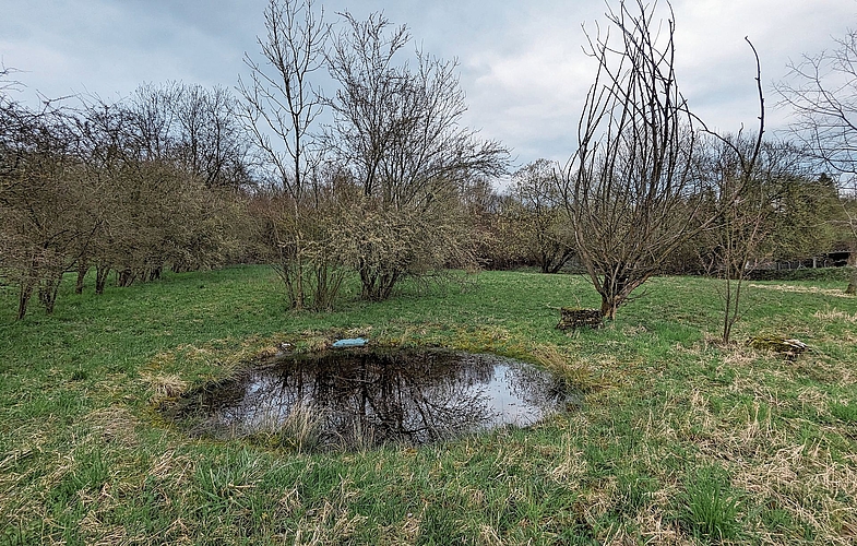 Weiher Haslirain.Foto: zvg 