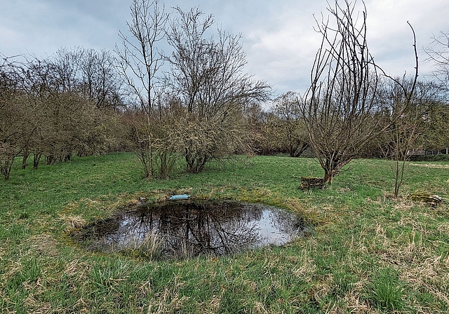 Weiher Haslirain.Foto: zvg 