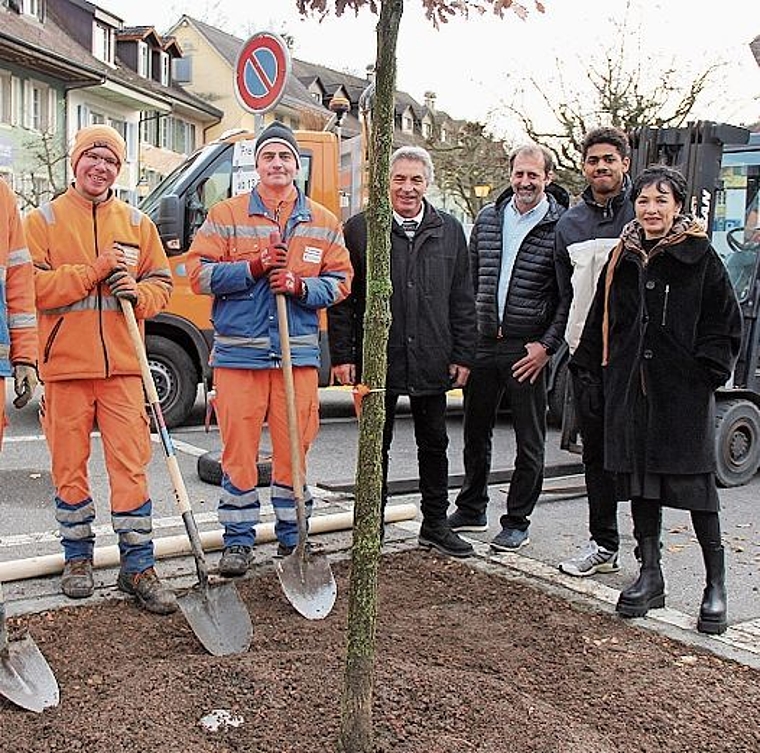 Orange auf dem Kronenplatz: Pflanzung der Flaumeiche von «Die Mitte» Lenzburg. Foto: Alfred Gassmann