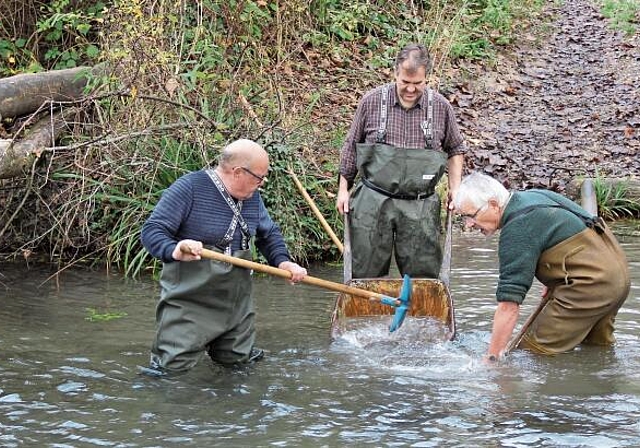 Pflegen den Steinerkanal: Drei Steinerkanalfischer. Foto: Alfred Gassmann