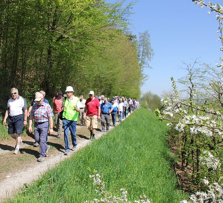 Traumhafte Bedingungen: Turnveteranen auf der Frühjahrswanderung. Foto: Alfred Gassmann