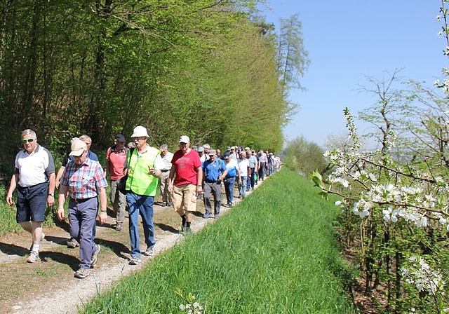 Traumhafte Bedingungen: Turnveteranen auf der Frühjahrswanderung. Foto: Alfred Gassmann