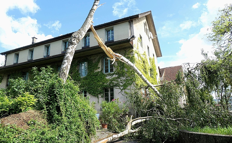 Schäden an der Landschaft: Der Wind war so stark, dass die Belastung für manchen Baum zu gross wurde und der Stamm brach.Foto: AW Schäden an der Landschaft: Der Wind war so stark, dass die Belastung für manchen Baum zu gross wurde und der Stamm brach.Foto: AW