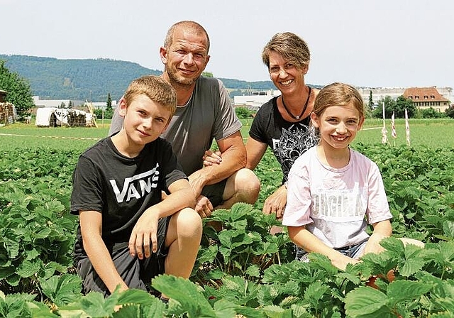 Betreiben in Schafisheim ein Erdbeerfeld: Stefan und Madlen Zubler mit den Kindern Pius und Eva.Foto: Romi Schmid