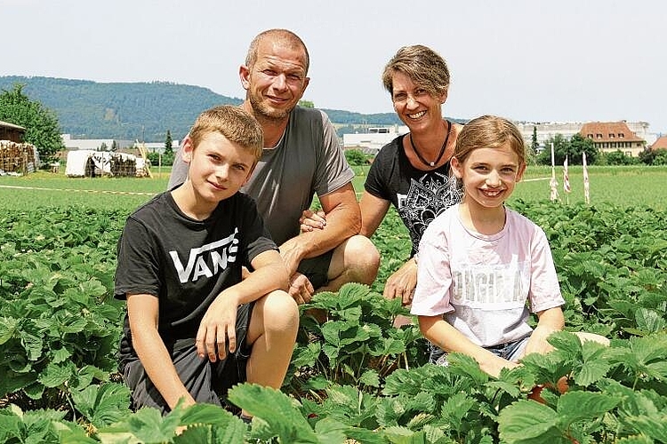 Betreiben in Schafisheim ein Erdbeerfeld: Stefan und Madlen Zubler mit den Kindern Pius und Eva.Foto: Romi Schmid