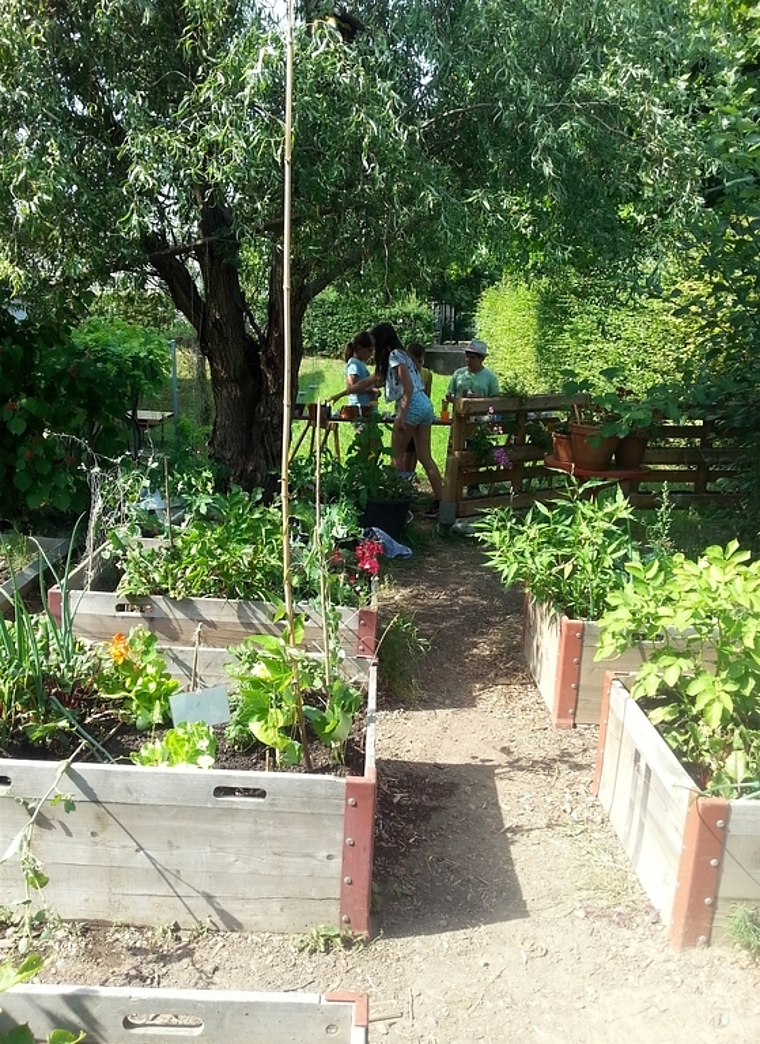 Sinnvolle Beschäftigung: Das Projekt Gartenkind bei der Schule Lenzhard in Lenzburg will man um ein Gartenhaus erweitern.Foto: zvg