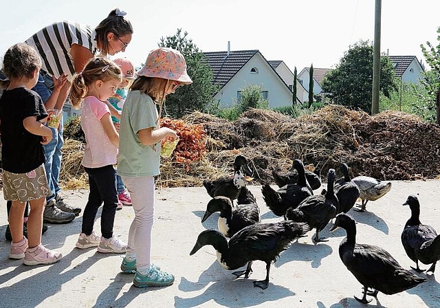 Voller Konzentration: Die Spielgruppenkinder füttern die Hofenten. Foto: Romi Schmid
