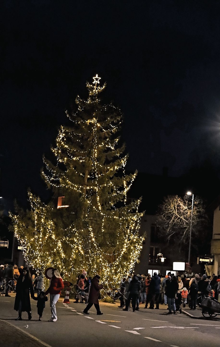Der festlich beleuchtete Weihnachtsbaum auf dem Lindenplatz.Foto: Romi Schmid
