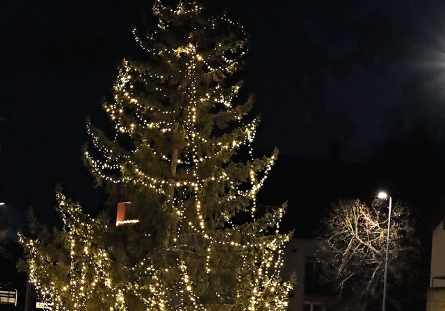 Der festlich beleuchtete Weihnachtsbaum auf dem Lindenplatz.Foto: Romi Schmid