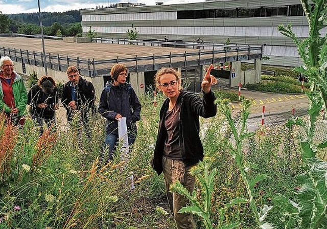 Auf verschiedene Pflanzenarten hingewiesen: Exkursionsleiterin Anita Weder auf dem Rundgang beim Neubau der Firma Bertschi AG in Dürrenäsch.Fotos: Fritz Thut
