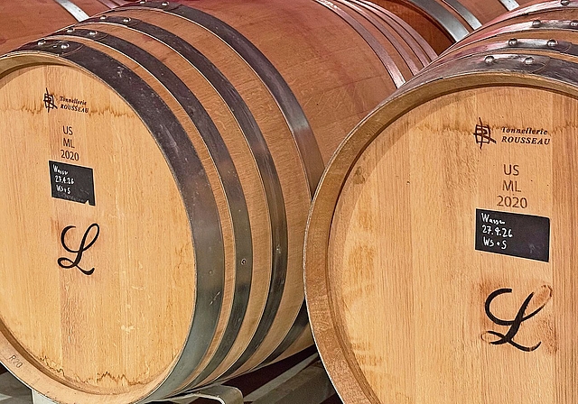 Der Barriquekeller im Weingut.Foto: VSc