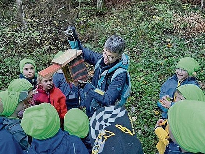 Vieles zu entdecken in der Natur. Foto: zvg