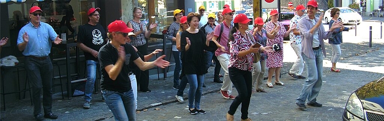 <em>Ansteckende Begeisterung an der gemeinsamen Bewegung:</em> Tanz-Flashmob zum Swissdanceday in der Lenzburger Altstadt. Foto: Stefanie Osswald