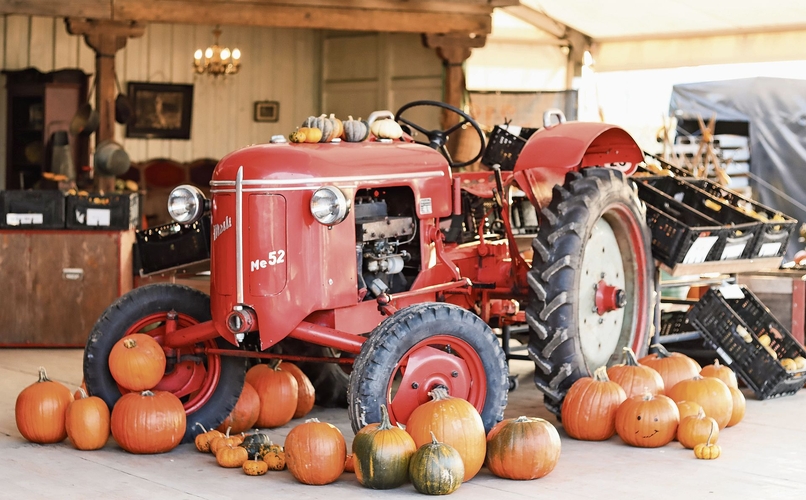 Traktor trifft Kürbisparade: Nostalgie und Erntefreude vereint.Foto: Romi Schmid 
