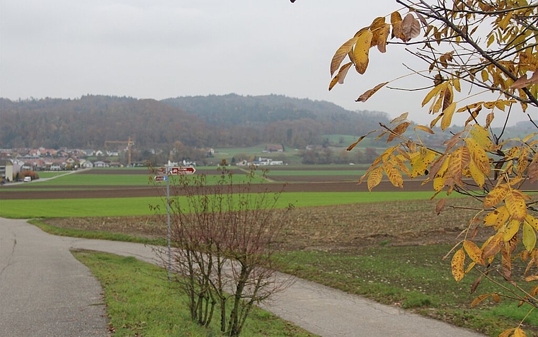 Wird 10 bis 15 Jahre dauern: Othmarsingen will Moderne Melioration als Gemeinschaftswerk anpacken. Foto: Alfred Gassmann