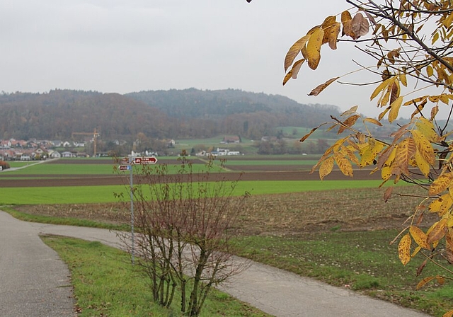 Wird 10 bis 15 Jahre dauern: Othmarsingen will Moderne Melioration als Gemeinschaftswerk anpacken. Foto: Alfred Gassmann