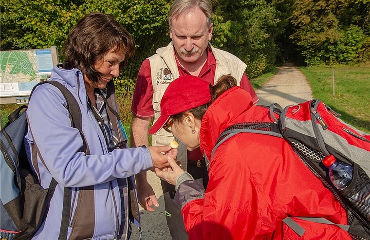 <em>Riecht leicht nach Marzipan: </em>Der Pilzprofi erkennt viele Pilze schon am Geruch. Foto: Peter Winkelmann