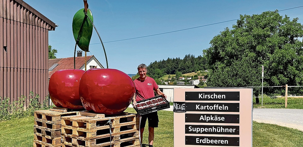 Urs Baur vom Eichhof präsentiert die feinen Kirschen – dunkelrot und mit Gold prämiert.Foto: Verena Schmidtke