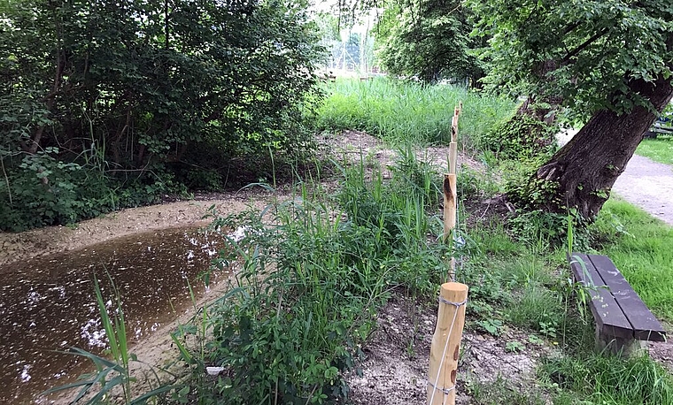 <em>Augenfällig: </em>Die Naturschutzzone in Beinwil am See konnte massiv aufgewertet werden. Foto: Victor Condrau