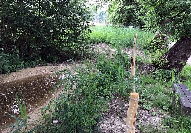 <em>Augenfällig: </em>Die Naturschutzzone in Beinwil am See konnte massiv aufgewertet werden. Foto: Victor Condrau