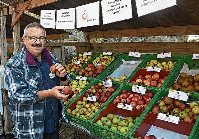 Raritäten: Hermann Graser präsentierte an den Mosttagen seltene Apfelsorten. Foto: Andreas Walker
