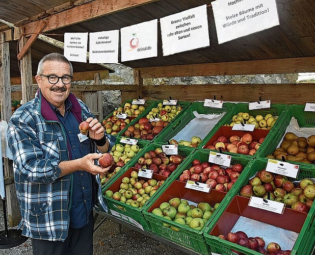 Raritäten: Hermann Graser präsentierte an den Mosttagen seltene Apfelsorten. Foto: Andreas Walker
