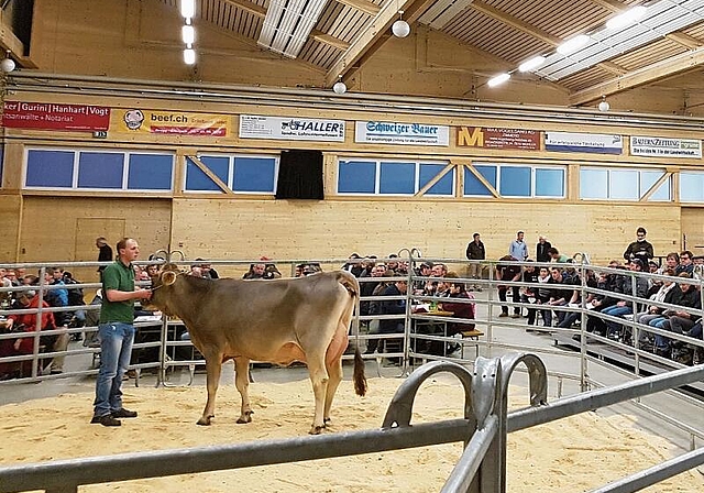 Locken viele Besucher an: Viehauktionen sind ein geselliger Anlass. Foto: zvg
