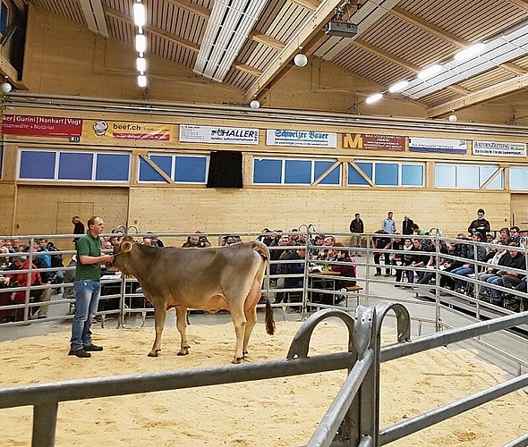 Locken viele Besucher an: Viehauktionen sind ein geselliger Anlass. Foto: zvg
