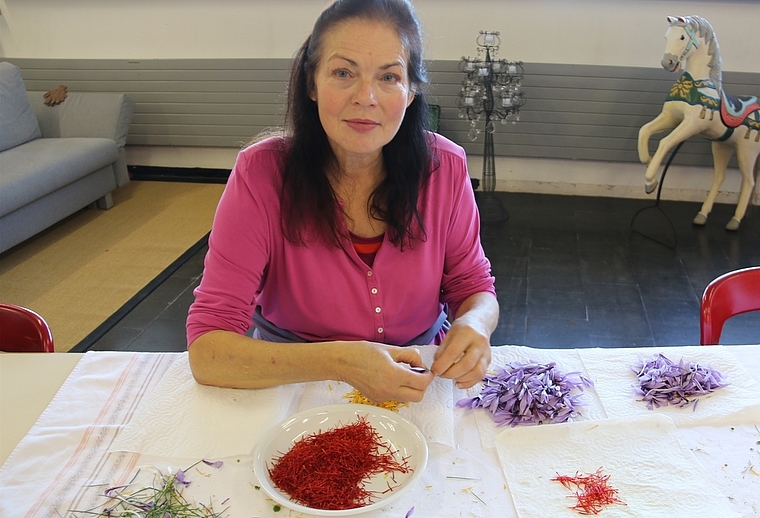 tagora-Geschäftsleiterin Silvia Bossard packt selbst mit an: hier beim Zerpflücken der Safranblüte. (MS)