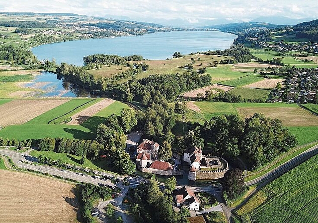 Wasser, wo keines sein sollte: Überschwemmungsgebiet östlich (links) vom Fussweg zwischen Schloss Hallwyl und Hallwilersee. Foto: Andreas Walker