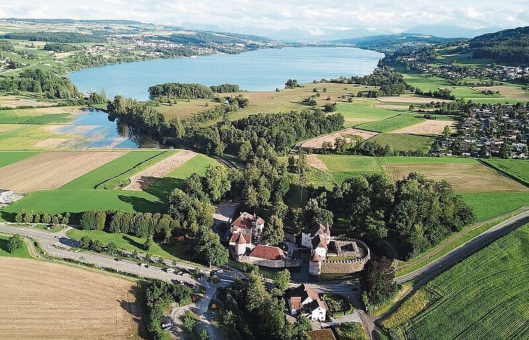 Wasser, wo keines sein sollte: Überschwemmungsgebiet östlich (links) vom Fussweg zwischen Schloss Hallwyl und Hallwilersee. Foto: Andreas Walker