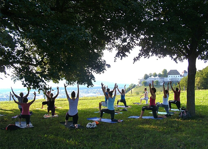 Im Einklang mit der Natur: Yoga im hellen Abendlicht auf dem Lenzburger Goffersberg. Fotos: Stefanie Osswald