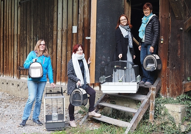 <em>Bereit für gefiederte Patienten:</em> Brigitte Urech, Jacqueline Lehn sowie Sarah und Monica Locher vor der Vogelpflegestation Unteres Seetal in der Schlossscheune. Foto: Julian Locher
