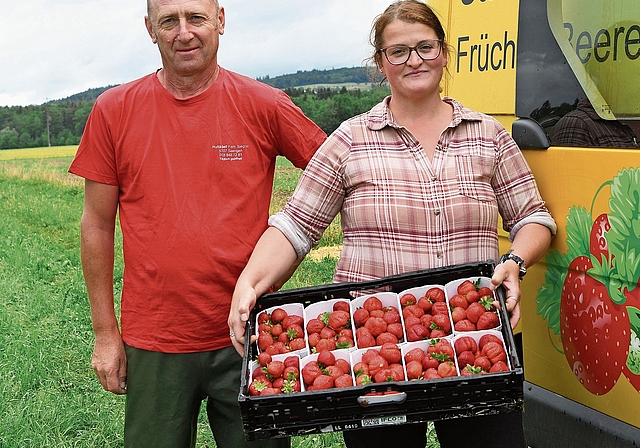Der Vorarbeiter Mariusz Brodaczewski und Christa Siegrist zeigen die frisch geernteten Erdbeeren.Foto: Andreas Walker