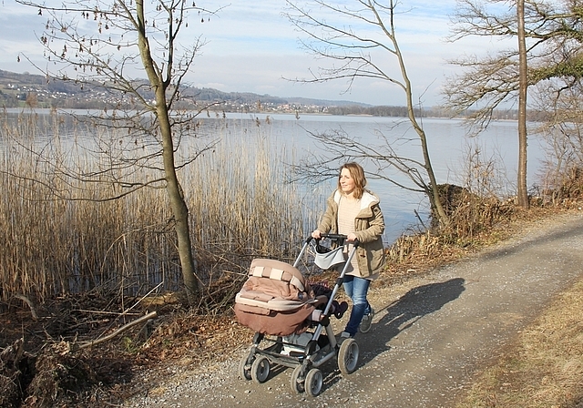 Mehr Licht und Sicherheit: Am Hallwilerseeufer bei Tennwil wurde der Baumbestand reduziert. Foto: Alfred Gassmann