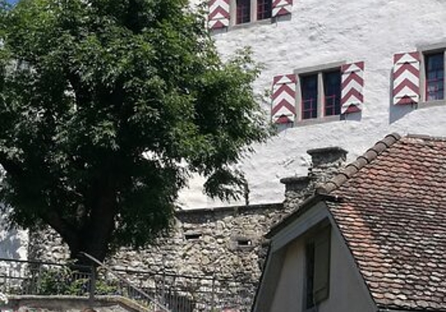 Gruppenbild: Der Bundesrat und der Aargauer Regierungsrat auf Schloss Wildegg. Foto: Fritz Thut

