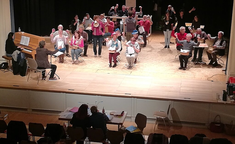 Konzentrierte Probenarbeit: Im Löwensaal in Beinwil am See laufen die Vorbereitungen für das «weisse Rössl».Foto: tf