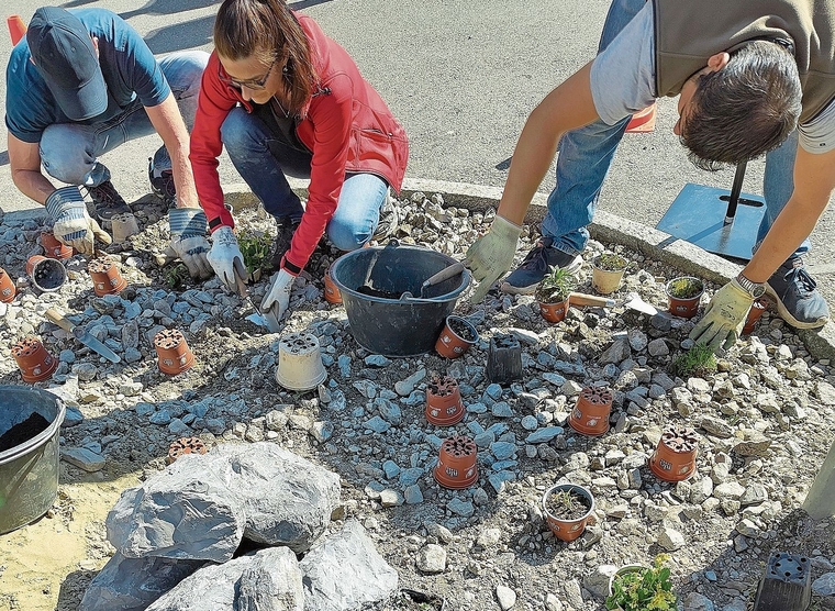 Die grauen Flächen sollen optisch und ökologisch aufgewertet werden.Foto: zvg