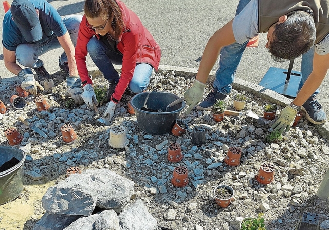 Die grauen Flächen sollen optisch und ökologisch aufgewertet werden.Foto: zvg