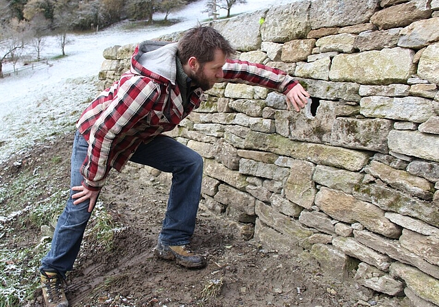 An sanierter Trockensteinmauer: Lukas Häusler zeigt ausgesparte Nisthöhle. Foto: Alfred Gassmann
