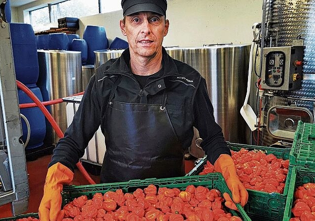 Innovativ und heimatverbunden: Pascal Furer beim Einmaischen der scharfen Aargauer Chilis in seiner «Mosti» in Staufen. Foto: Fritz Thut
